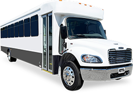 Large Buses
